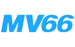 grupovelasco.com.co
